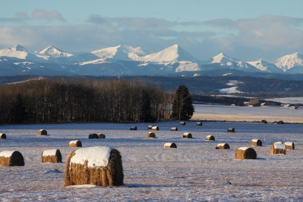 Alberta travel tips 6