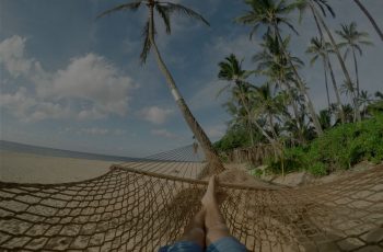 hammock storyv scroll (1)
