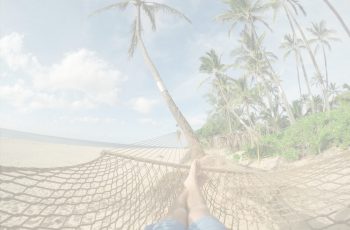 hammock storyv scroll white (1)