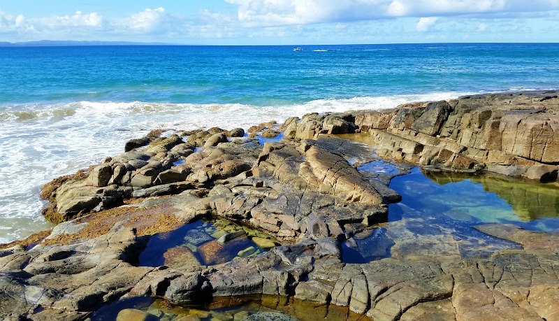 Exploring the rock pools at Noosa National Park