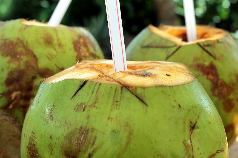 Cure common traveler health issues like dehydration with coconut water