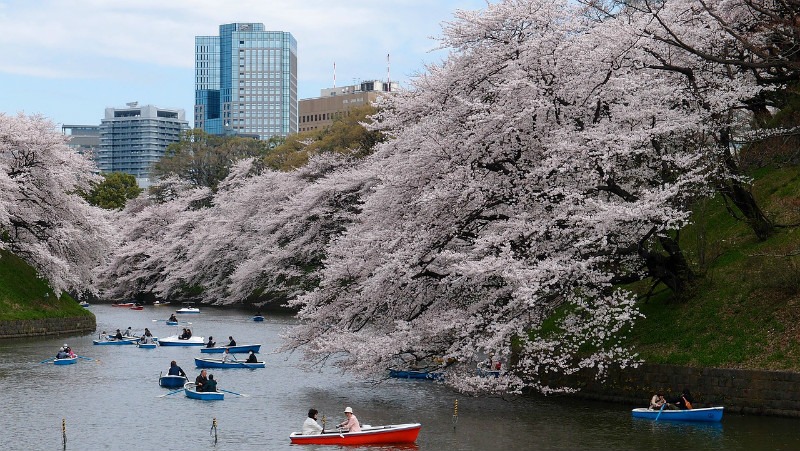 Amazing places to visit: Tokyo