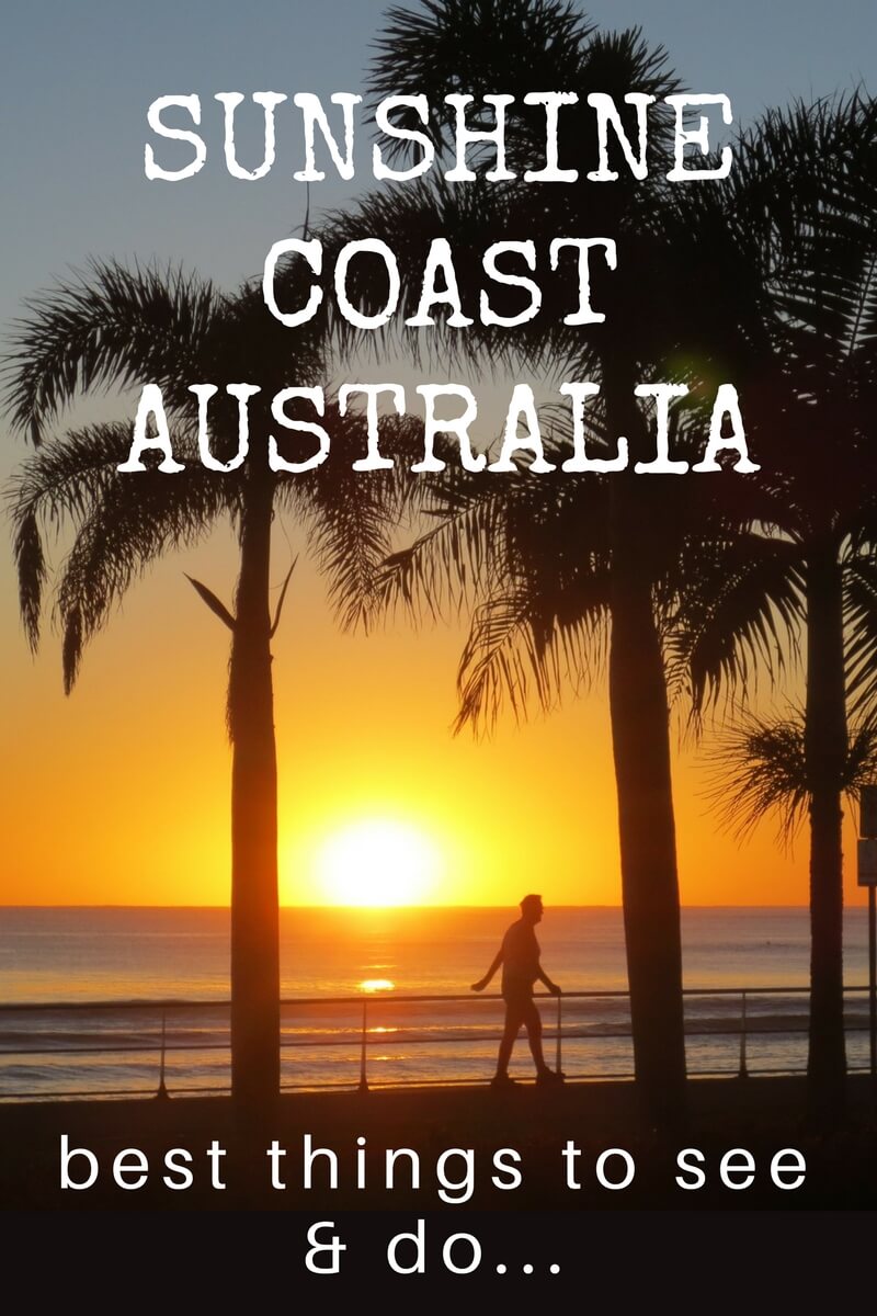 Heading to the Sunshine Coast, Australia? There are many things to see and do on the Sunshine Coast but here are our top 10, based on personal experience! Click through to read...