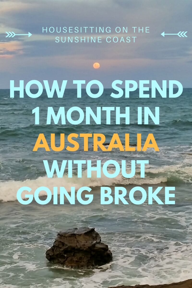 I found an amazing gig housesitting on the Sunshine Coast for 1 month. In turn I was able to see Australia cheaply without bankrupting myself - here's how! Click through to read...