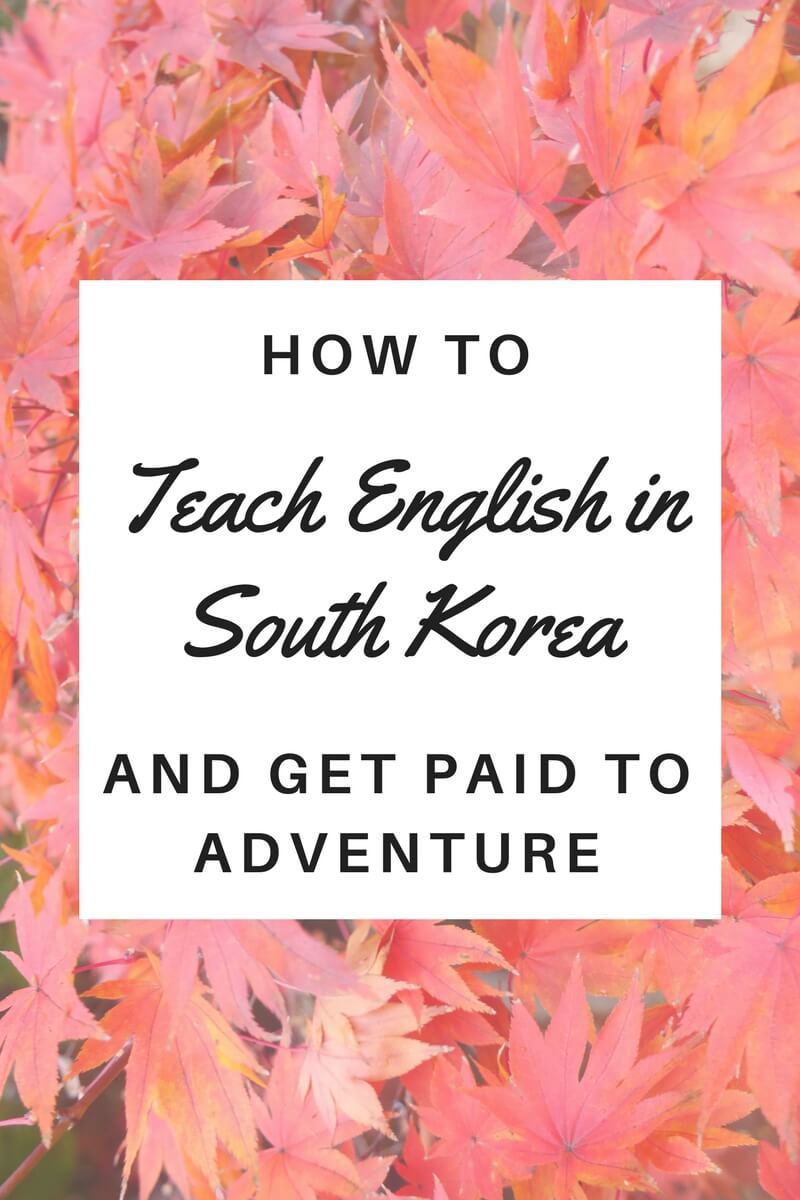 Just finished university & want to travel, but don't have the money? Well, spend a year getting paid to teach English in South Korea. It's brilliant! Click through to find out how you can get started...