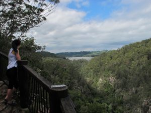 Baroon Pocket Dam Lookout: Housesitting on the Sunshine Coast
