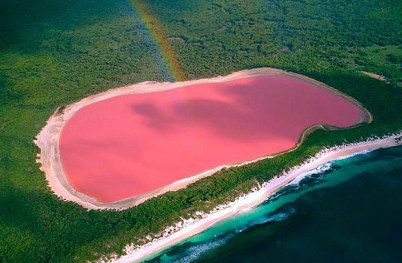 Weird places in the world - the pink waters of Lake Hillier surrounded by thick vegetation