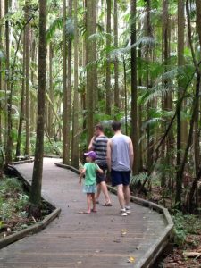 sunshine coast best things to do - mary cairncross