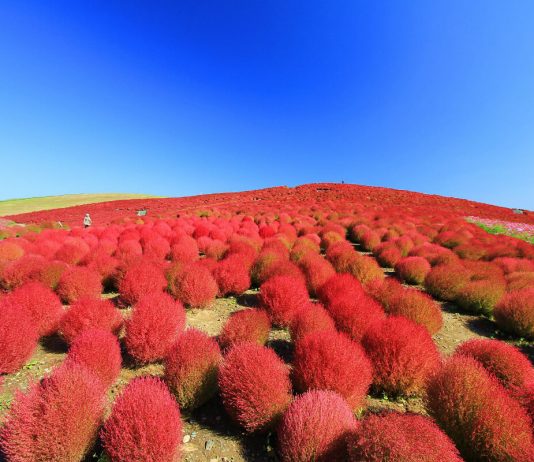Red is the colour of passion, intensity, & love. In the first of our Shades of the World Series, we've listed 9 surreal travel attractions coloured in red.