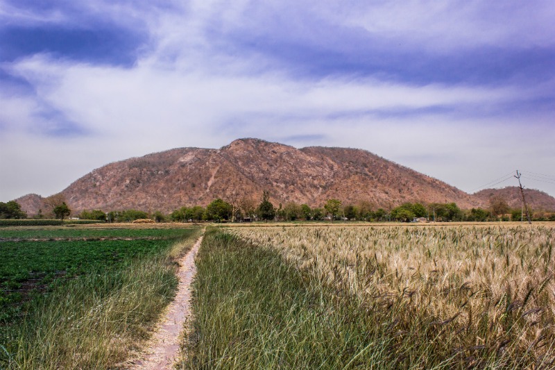 The Aravalis Hills: Udaipur To Pindwara road trip