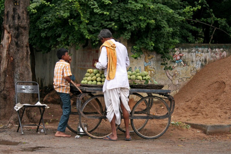 Custard apples: Udaipur To Pindwara road trip