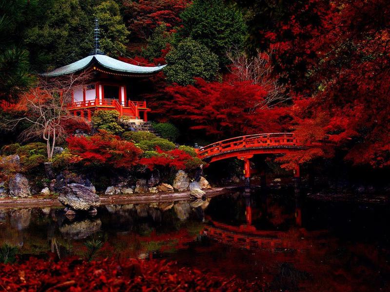 Shades of the World: Red autumn leaves surrounding a temple of the same color