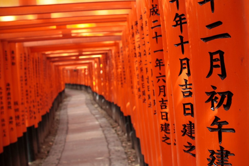Shades of the World Series: The long walk leading to Fushimi Inari Shrine lined with thousands of orange Torii gates.