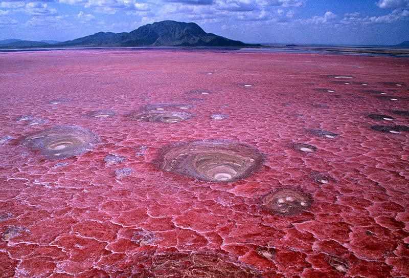Shades of the World: blood waters of Lake Natron having a crack-like surface