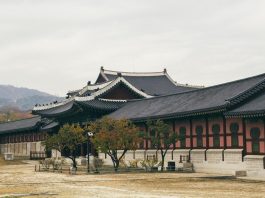 Just finished university & want to travel, but don't have the money? Well, spend a year getting paid to teach English in South Korea. It's brilliant!