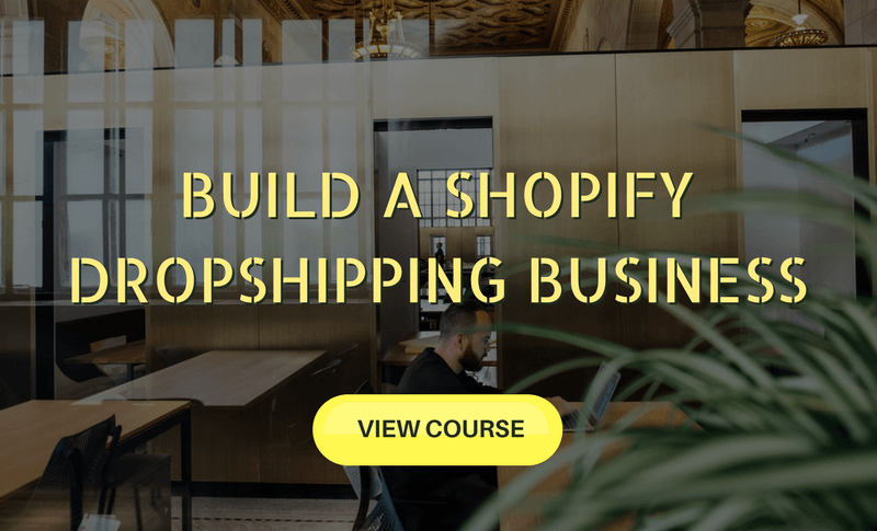 Build a Shopify Dropshipping Business Course - Top Travel Job Courses Which Will Teach You How To Work From Anywhere