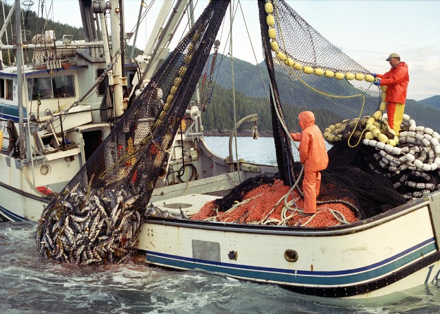 Best travel jobs: Commercial fishing