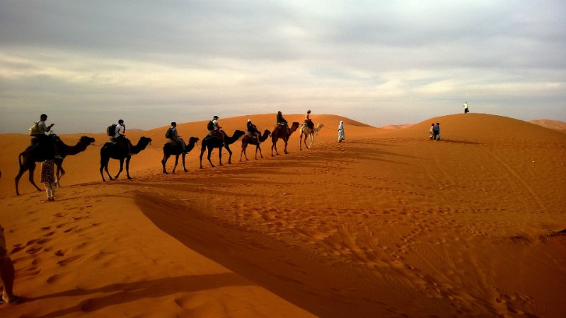 Reasons to travel to Dubai - The desert safaris