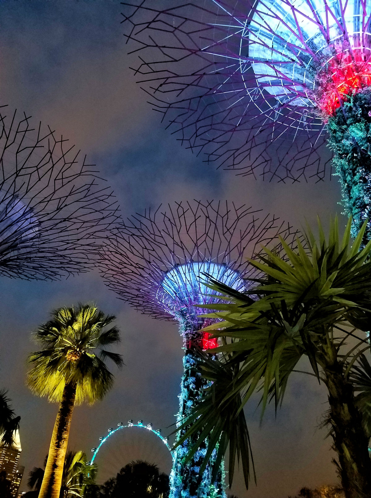 48 hour Singapore travel itinerary: Gardens by the Bay