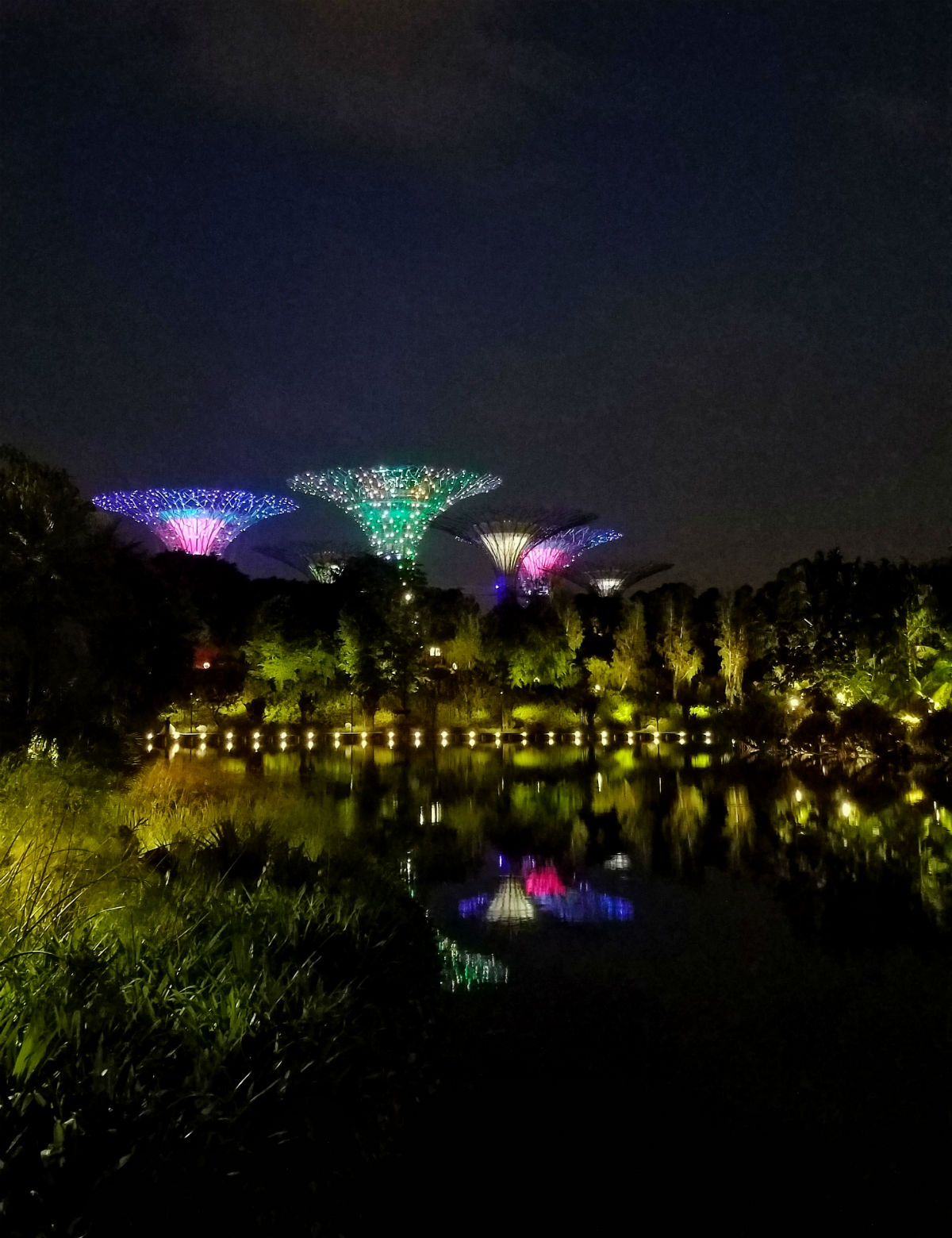 48 hour Singapore travel itinerary: Gardens by the Bay