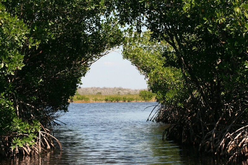 Everglades National Park: Best National Parks To Photograph
