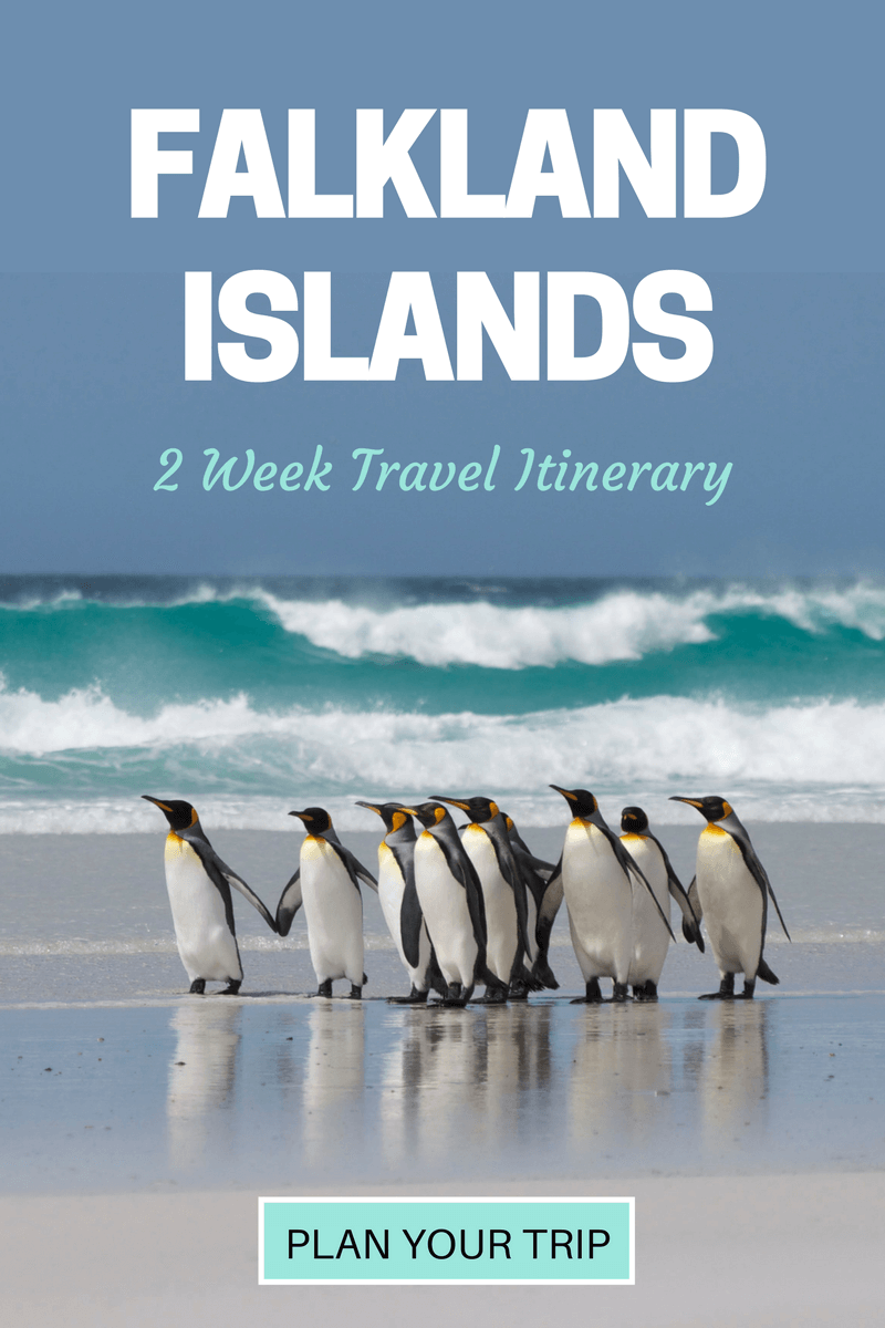 With over 700 islands in the archipelago, it's not easy deciding how to spend your time in the Falklands. With a mix of wildlife, walking, history and adventure - this 2-week itinerary is designed to make the most of what the Falkland Islands have to offer.