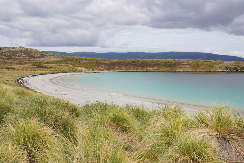 Dyke Bay, Carcass Island - Falkland Islands