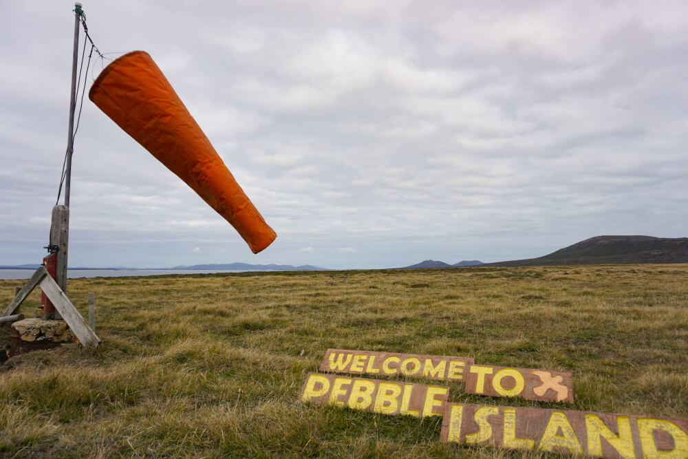 Pebble Island - Falkland Islands
