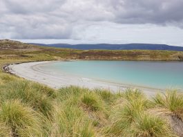 With over 700 islands in the archipelago, it's not easy deciding how to spend your time in the Falklands. With a mix of wildlife, walking, history and adventure - this 2-week itinerary is designed to make the most of what the Falkland Islands have to offer.