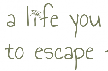 build-a-life-3