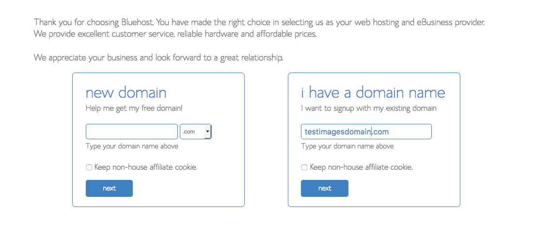 How to start a self-hosted WordPress blog with Bluehost - Step 2.3: Choose or import your domain