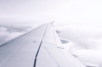 wing