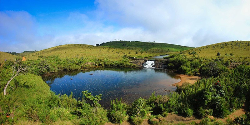 The Horton Plains Central Highlands