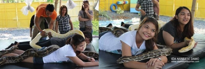 Snake massage in Davao Park.