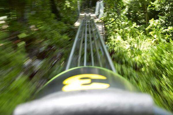 Bobsled over the hilltops in Jamaica