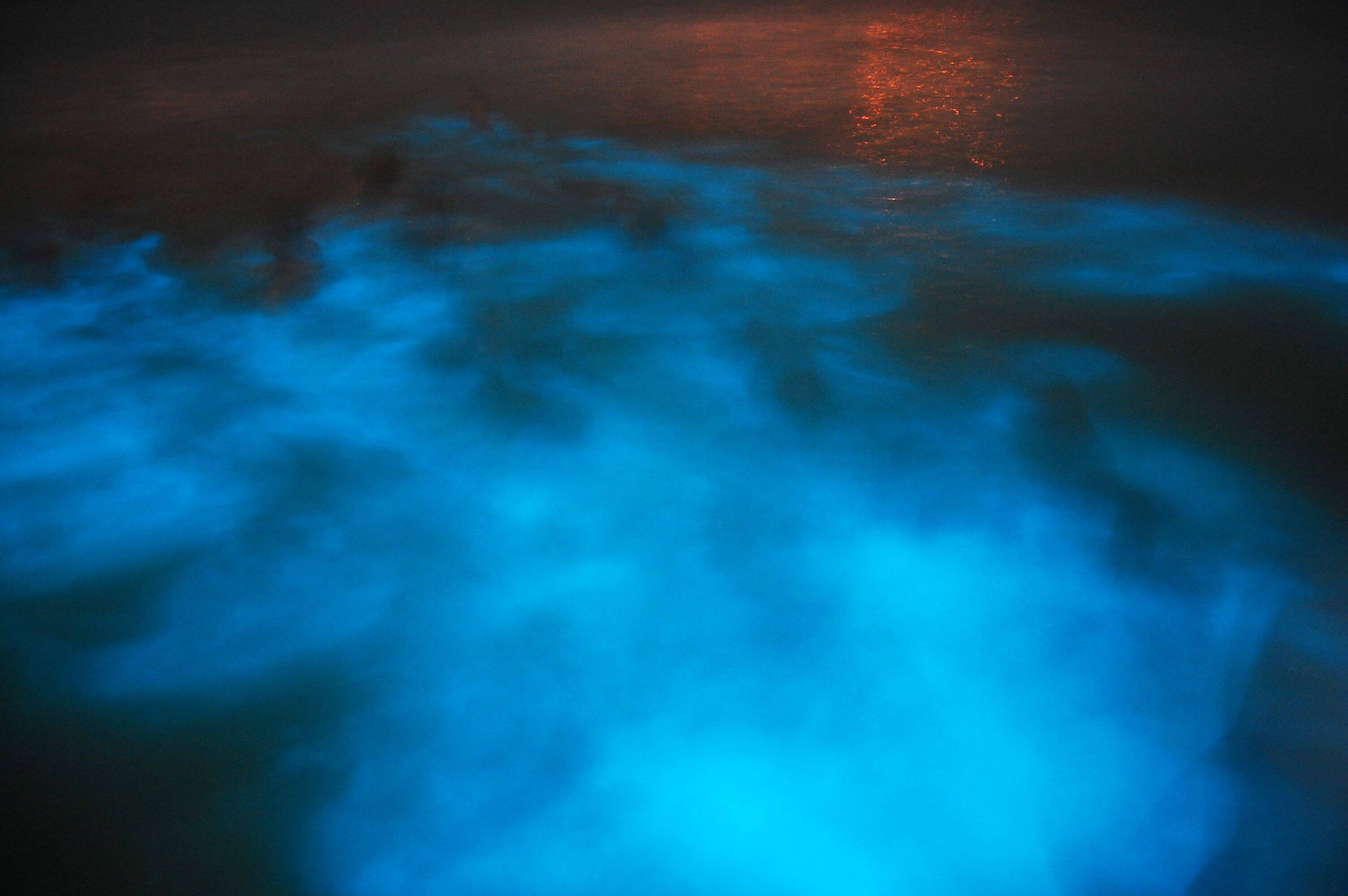 Get glowing at the Luminous Lagoon