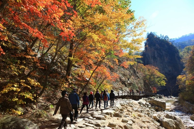 Natural Wonder of South Koea, Seoraksan Mountain