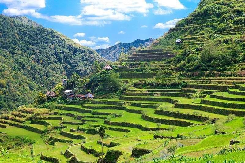 Ifugao Rice Terraces