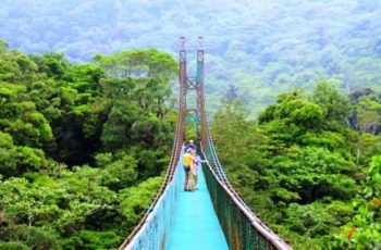 Costa-Rica-Rainforest