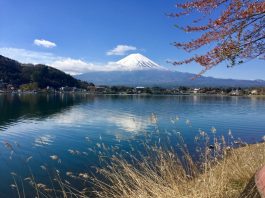 Remote Travel Destination To Reconnect With Nature, Lake Kawaguchiko, Japan