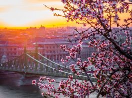 If you are planning to spend some time in Budapest, you must include some day trips in your itinerary. Here's a list of seven exciting places near Budapest that you can visit and explore in under 24 hours...
