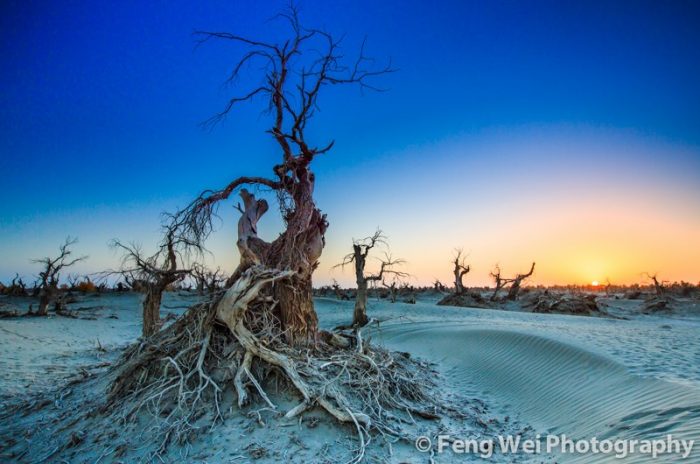 Taklamakan Desert, China ,one of the beautiful deserts in the world