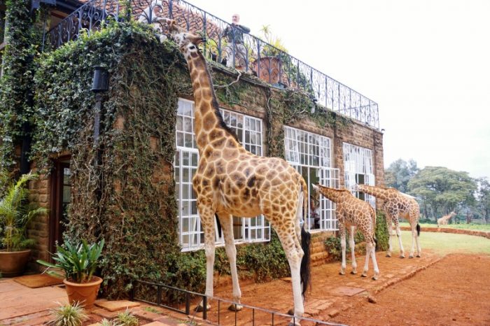 Giraffe Manor, Nairobi, Kenya