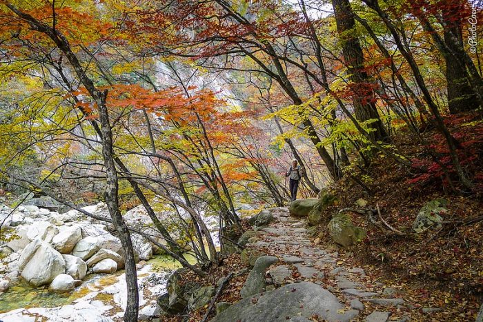 Pilgrimage Path of Baekdu-daegan Trail in South Korea