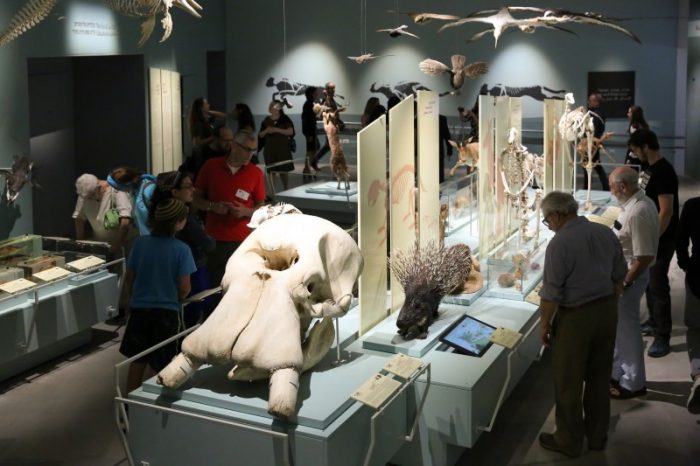 Must visit museum this 2019 is The Steinhardt Museum of Natural History in Tel Aviv, Israel