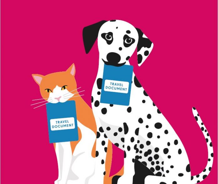 6 Helpful Tips For Moving Abroad With Pets StoryV Travel & Lifestyle