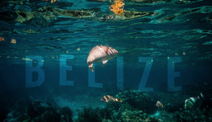 Belize Vacation Packages - Top 5 Amazing Deals