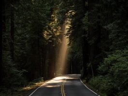 Hassle-Free Road Trip Guide: Easy Hacks and Tips