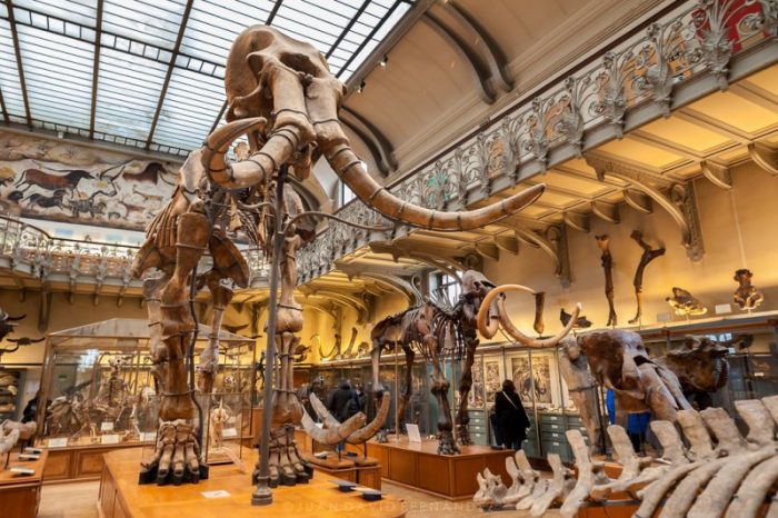 5 Kid-Friendly Museums in Paris for Little Travelers