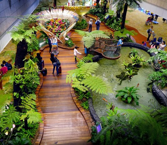 Activities You Need to Try in Singapore’s Changi Airport